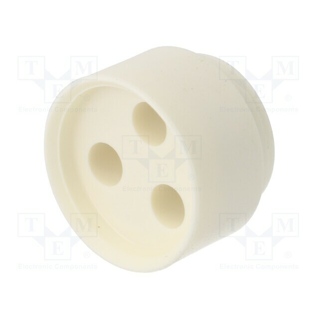 Insert for gland; 5.2mm; NPT3/4&quot