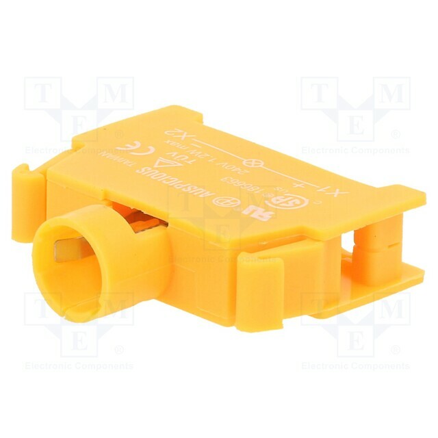 AUSPICIOUS Lamp socket; 22mm,30mm; Illumin: