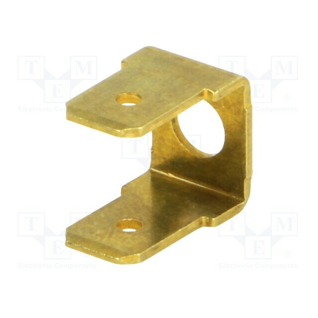 BM GROUP Terminal: flat; 6.3mm