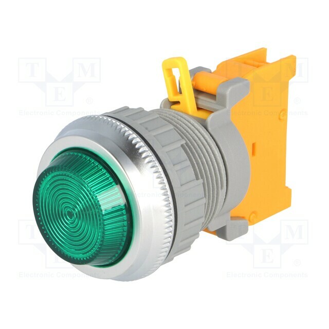 AUSPICIOUS Control lamp; 30mm; PLN30; Illumin: