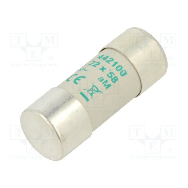 DF ELECTRIC Fuse: fuse; 22x58mm; ceramic