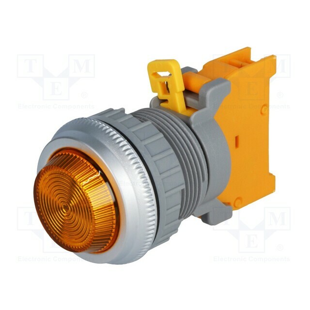AUSPICIOUS Control lamp; 30mm; PLN30; Illumin: