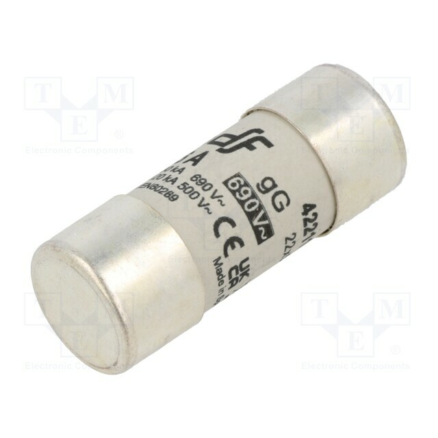 DF ELECTRIC Fuse: fuse; 22x58mm; ceramic