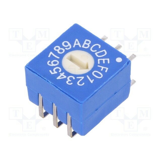 ECE Encoding switch; HEX/BCD; Pos: 16