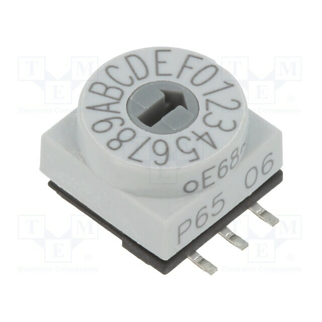 PTR HARTMANN Encoding switch; HEX/BCD; Pos: