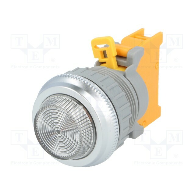 AUSPICIOUS Control lamp; 30mm; PLN30; Illumin: