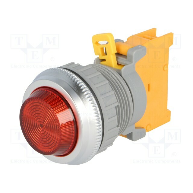 AUSPICIOUS Control lamp; 30mm; PLN30; Illumin: