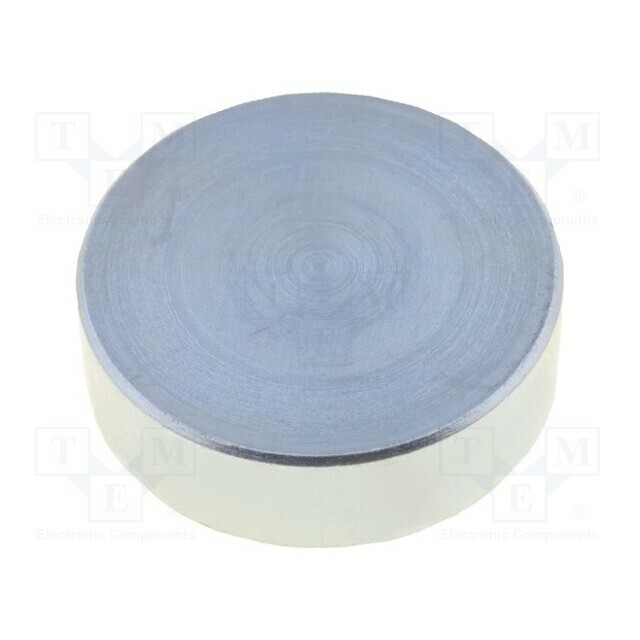 ELESA+GANTER Magnet: permanent; neodymium; 140N; Ø: