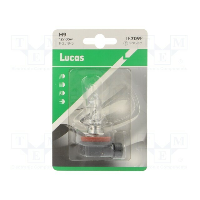 LUCAS Filament lamp: automotive; PGJ19-5; 65W