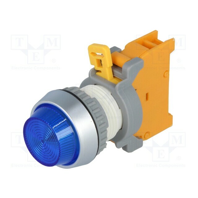 AUSPICIOUS Control lamp; 22mm; PLN22; Illumin: