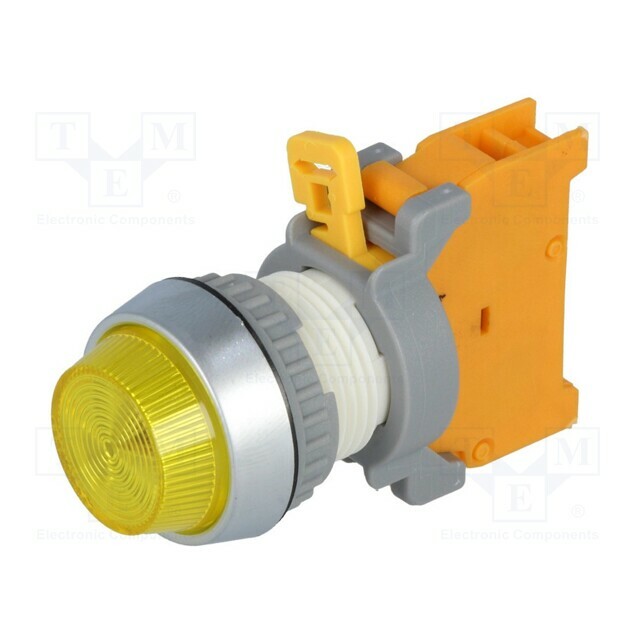 AUSPICIOUS Control lamp; 22mm; PLN22; Illumin: