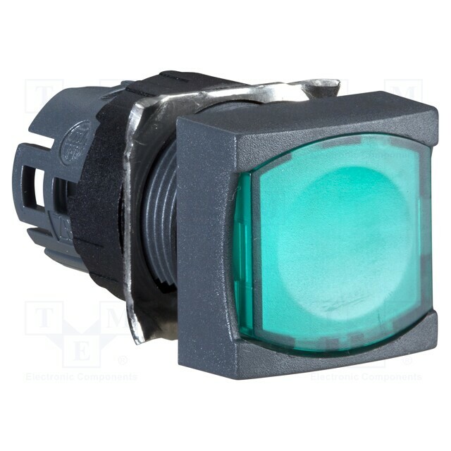 SCHNEIDER ELECTRIC Switch: push-button; 16mm; Stabl