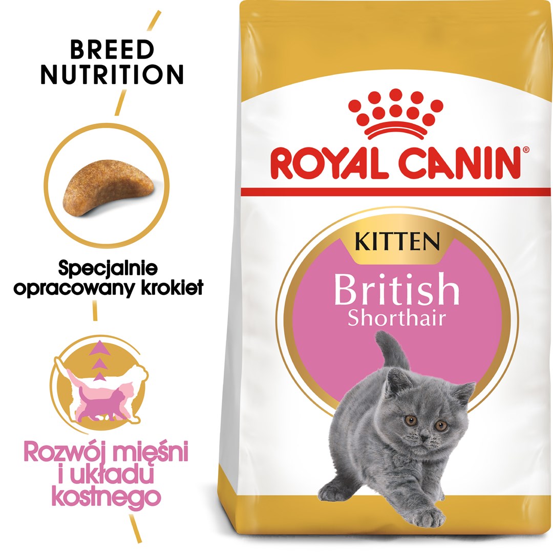 Royal Canin British Shorthair Kitten cats