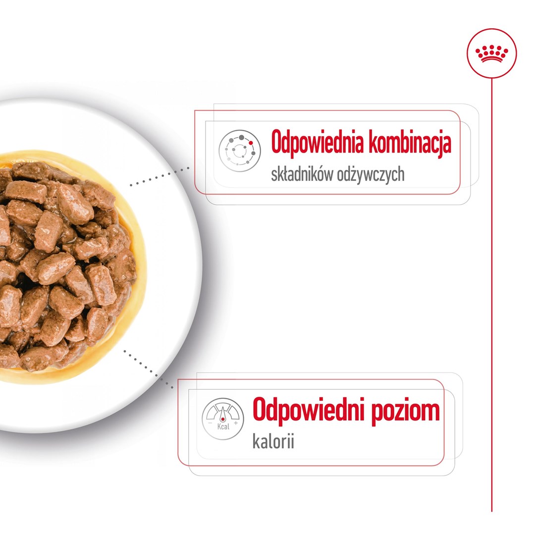 ROYAL CANIN Mini Ageing - wet