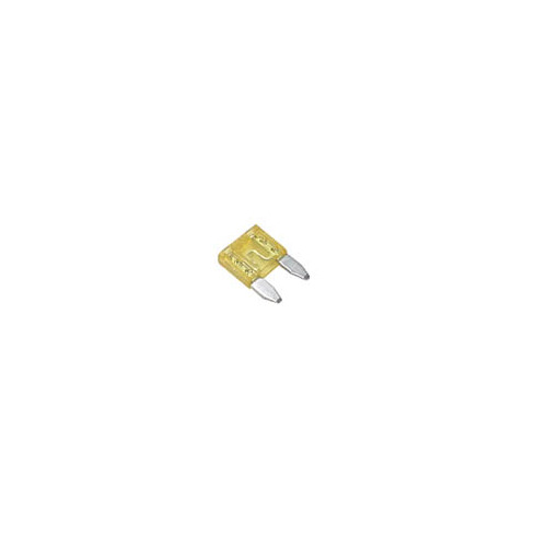 MINI CAR FUSE 20A | AFUM20
