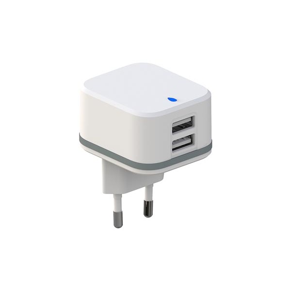 COMPACT CHARGER WITH DUAL USB OUTPUT