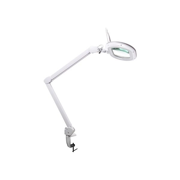 LED desk lamp with magnifying glass