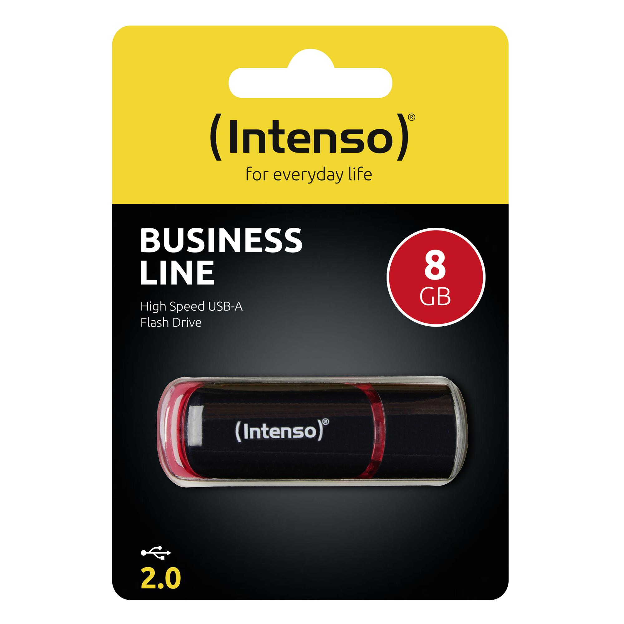 Intenso Business Line USB 2.0