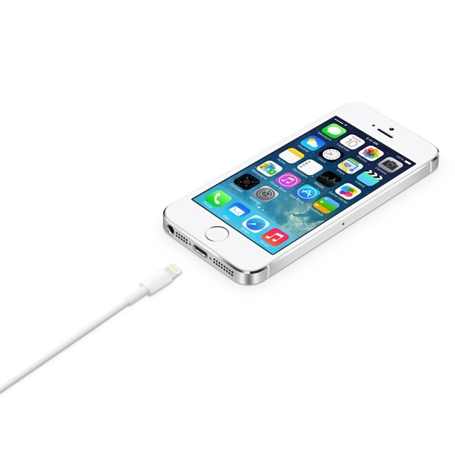 Apple MD819ZM/A Lightning to USB cable