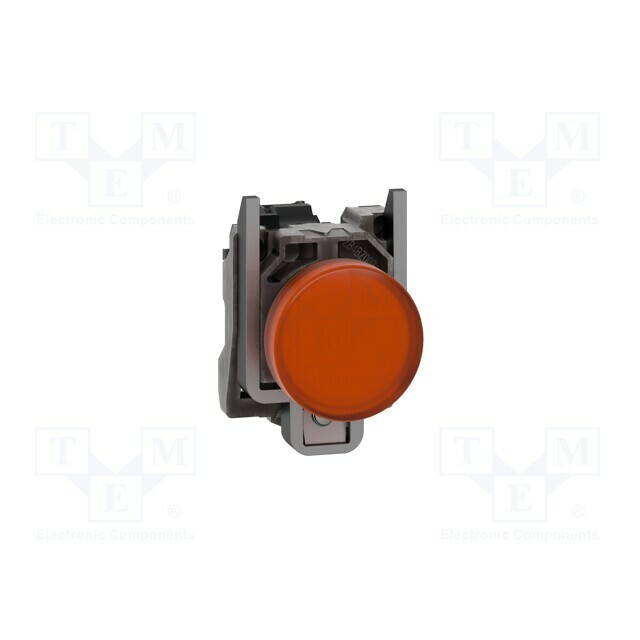 SCHNEIDER ELECTRIC Control lamp; 22mm; Harmony