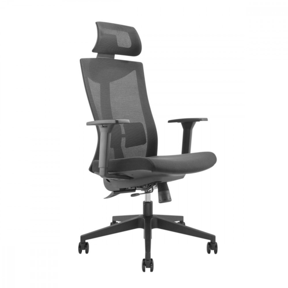 Premium ergonomic office chair with high