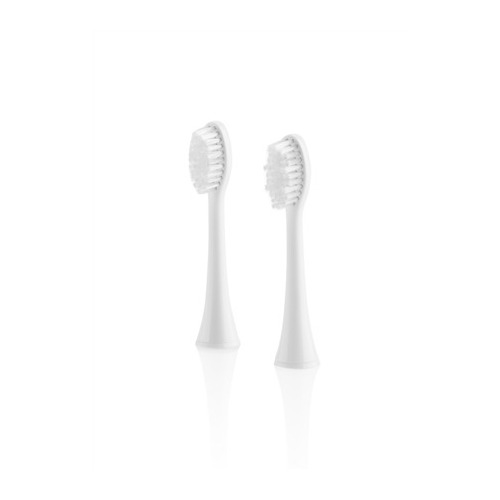 ETA | Toothbrush replacement | RegularClean