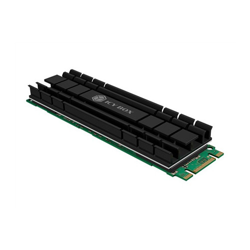 RAIDSONIC ICY BOX solid state drive