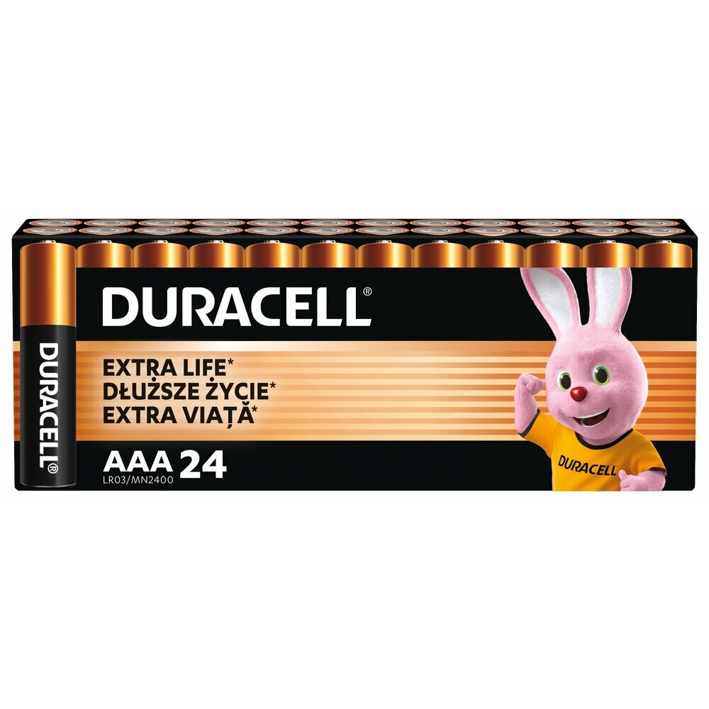 DURACELL Batteries Basic AAA/LR3 Blister of