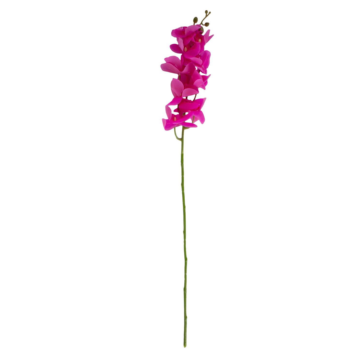 Orhidee FLOWERLY H94cm, lilla | 85540