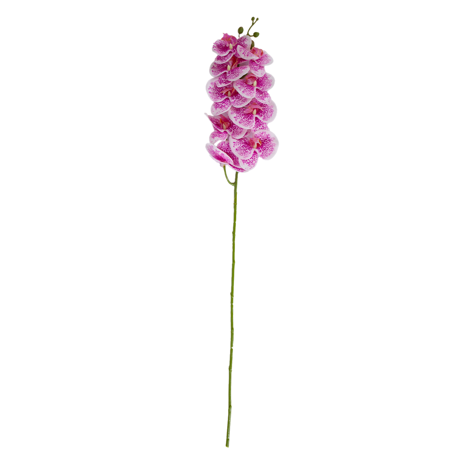 Orhidee FLOWERLY H94cm, roosa | 85542