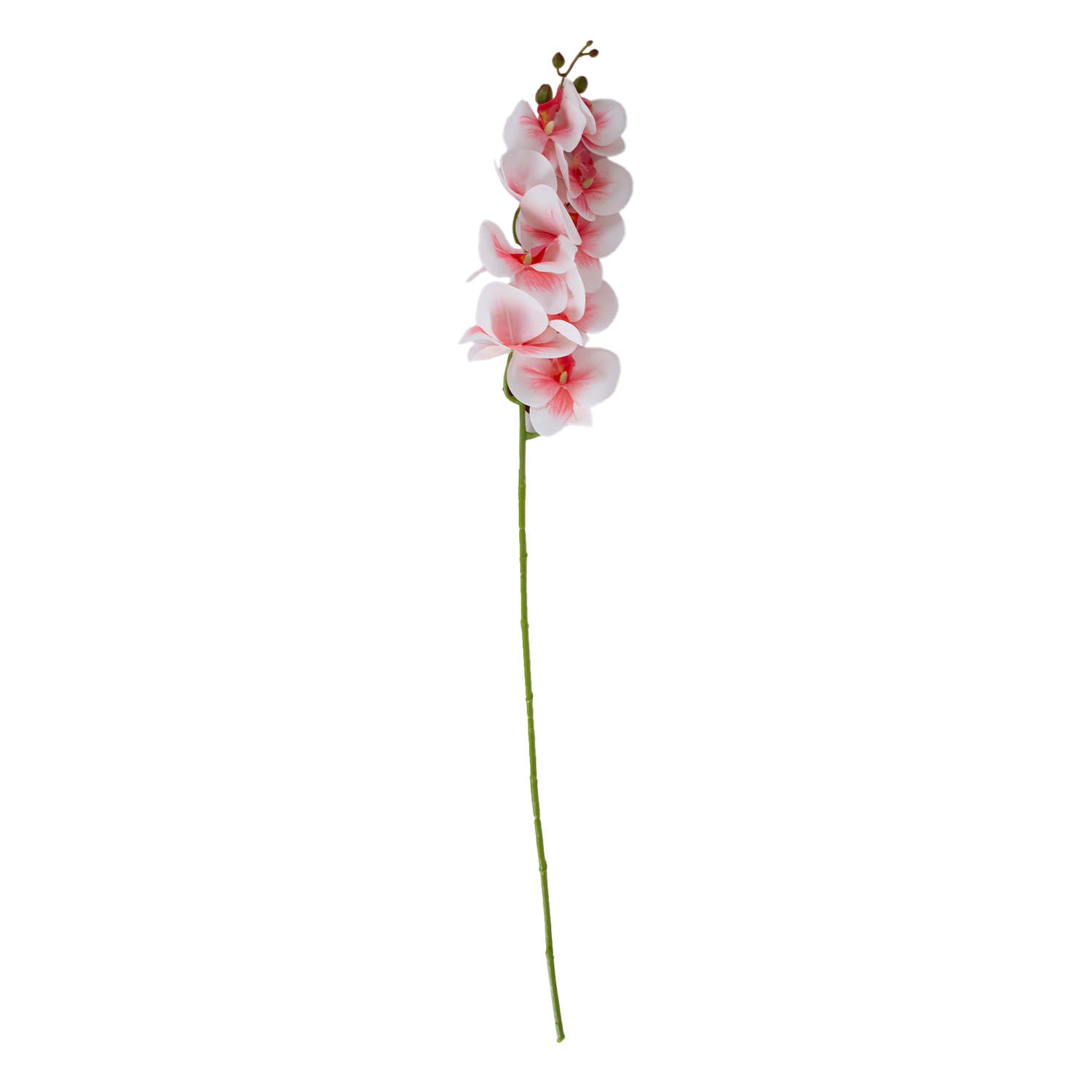 Orhidee FLOWERLY H94cm, heleroosa | 85543