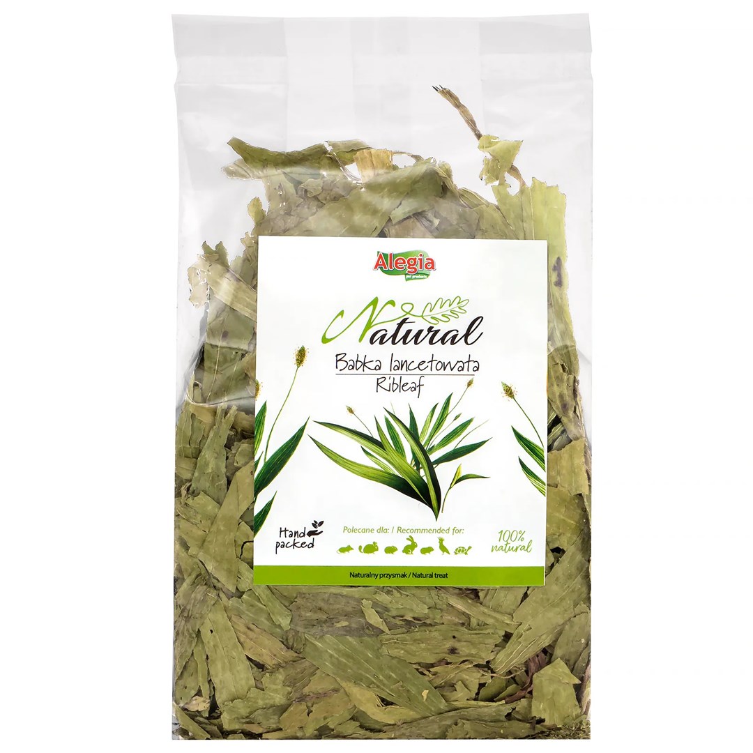 ALEGIA Ribleaf - treat for rodents