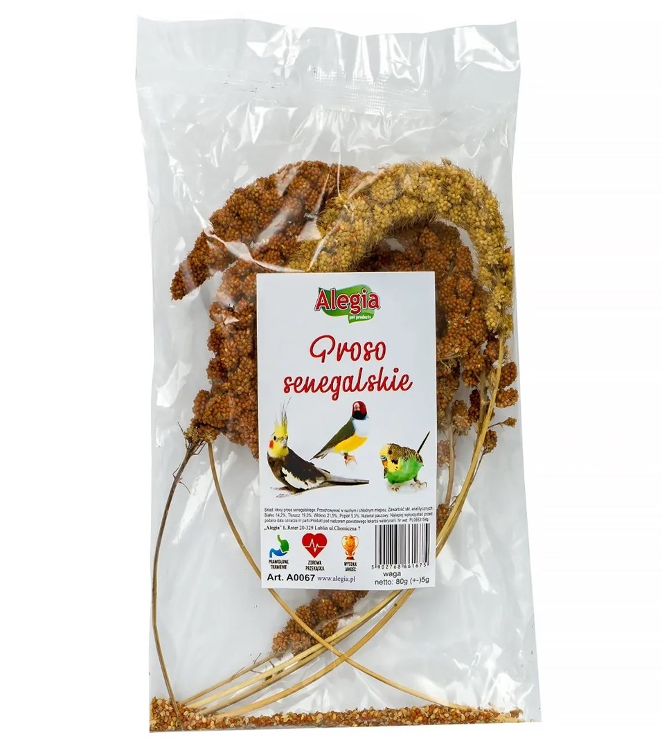 ALEGIA Senegalese Millet - treat for