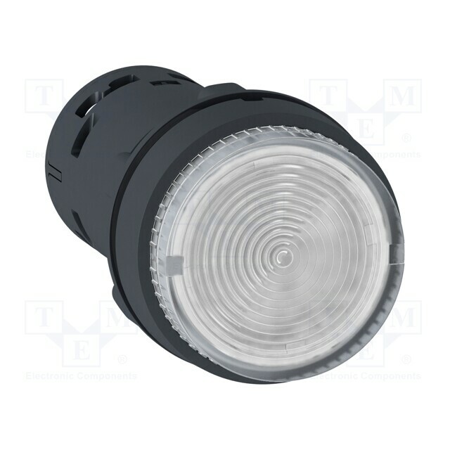 SCHNEIDER ELECTRIC Switch: push-button; 22mm; Stabl