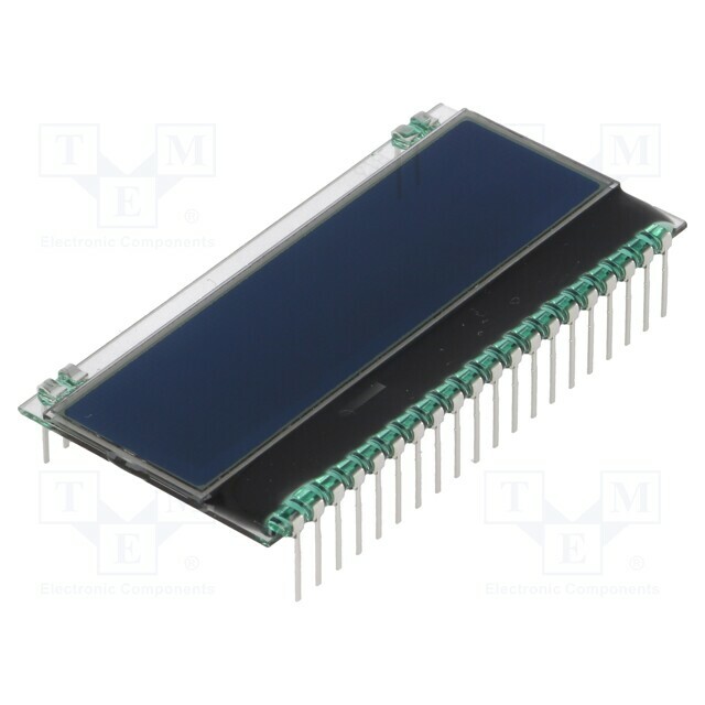 DISPLAY VISIONS Display: LCD; alphanumeric; FSTN