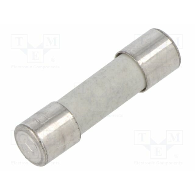 SIBA Fuse: fuse; 6.3A; 250VAC