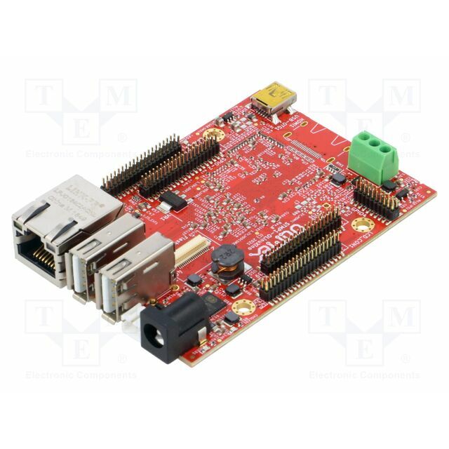 OLIMEX Dev.kit: ARM ST |