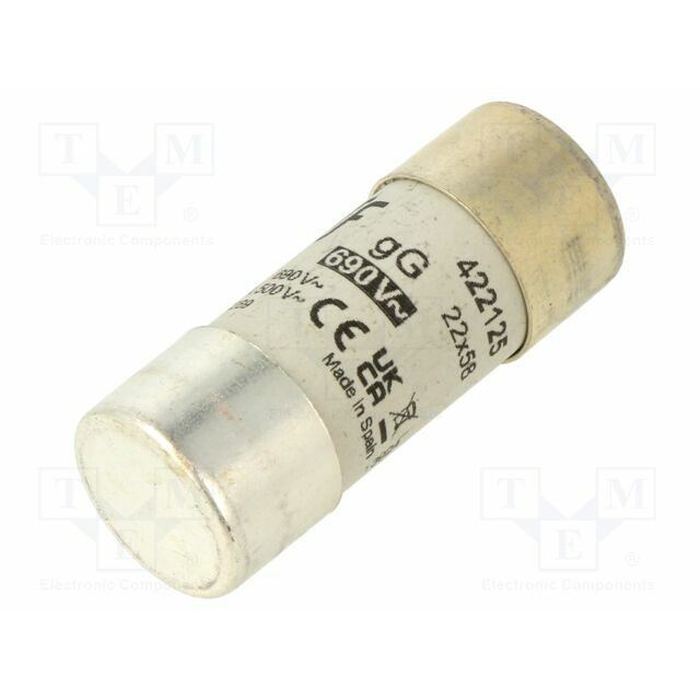 DF ELECTRIC Fuse: fuse; 22x58mm; ceramic