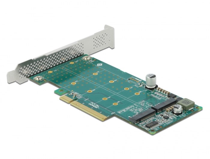 Kontrolieris Delock PCIe 4.0 x8