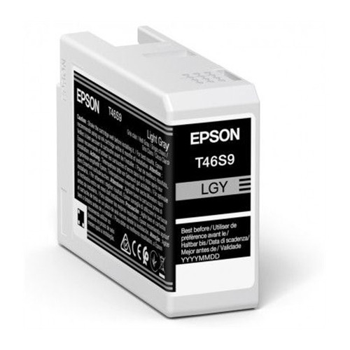 EPSON 1LB Singlepack Light Gray T46S9