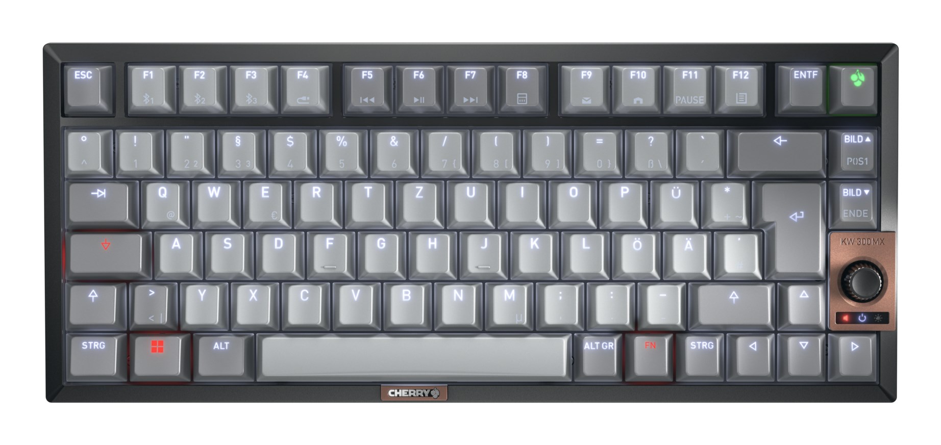 Cherry TAS Keyboard wireless; MX 2A