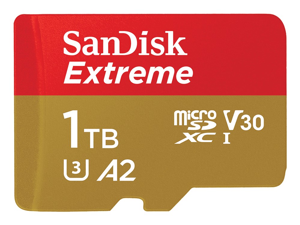 SANDISK BY WESTERN DIGITAL MEMORY MICRO