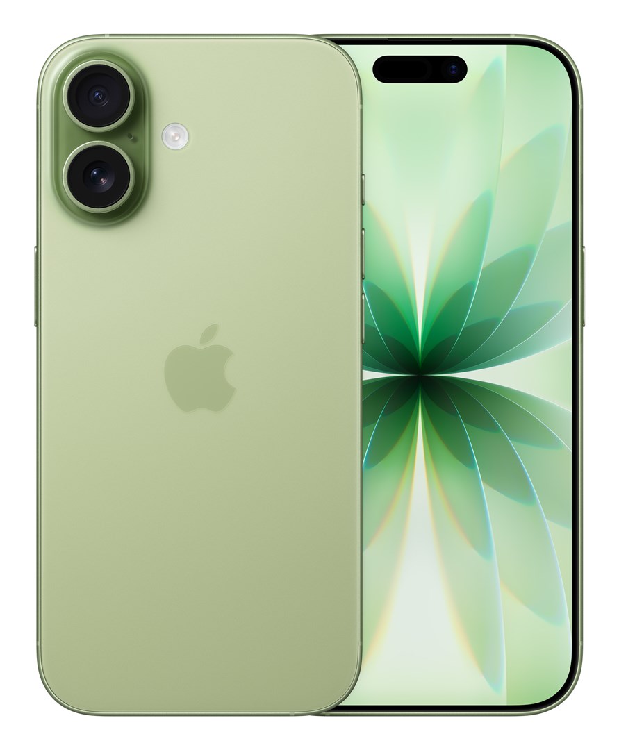 Apple iPhone 17 256GB, sage (EU)