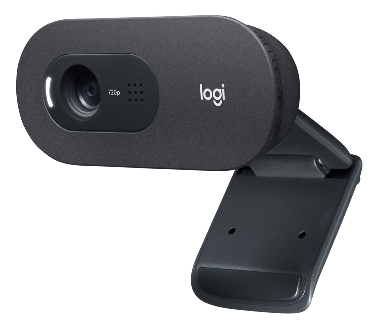 Logitech C505e  HD Biznesa Tīmekļā kamera | 960-0013724 |