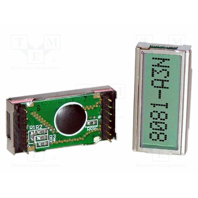 DISPLAY VISIONS Display: LCD; alphanumeric; STN