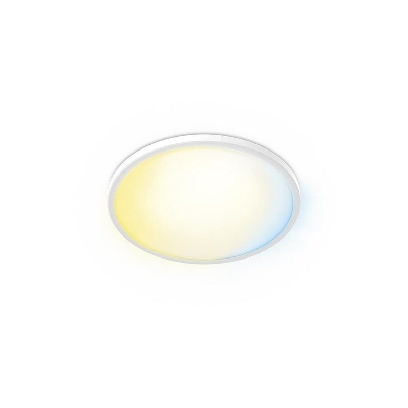Philips Valen Ceiling Light 22W |