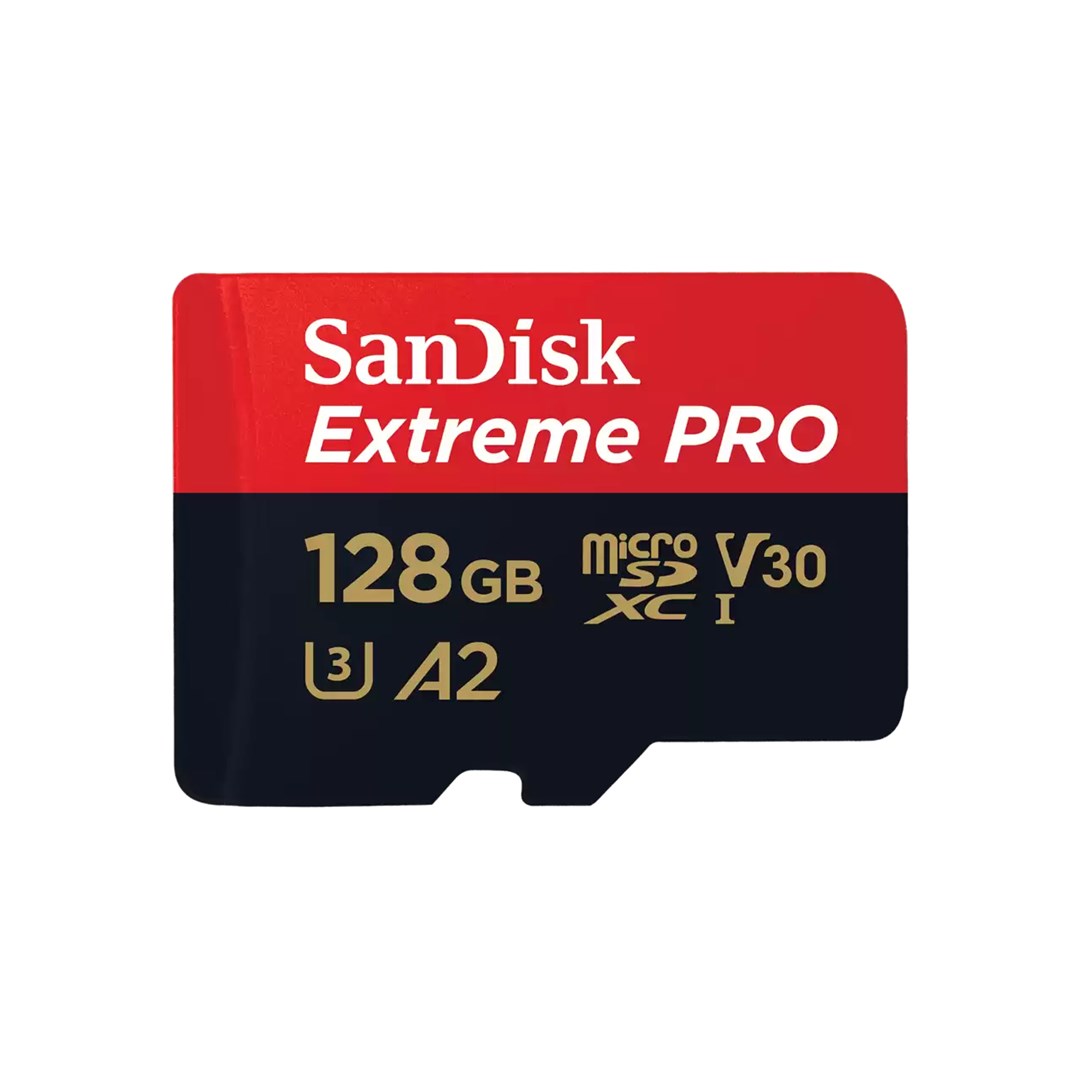 SANDISK BY WESTERN DIGITAL MEMORY MICRO