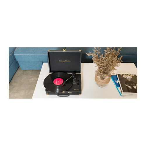 Muse | Turntable Stereo System |