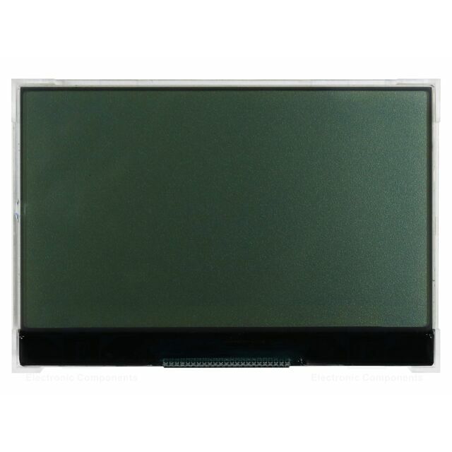 RAYSTAR OPTRONICS Display: LCD; graphical; 240x128