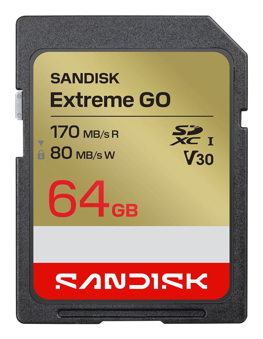 SanDisk Extreme GO SDXC 64GB 170MB/s